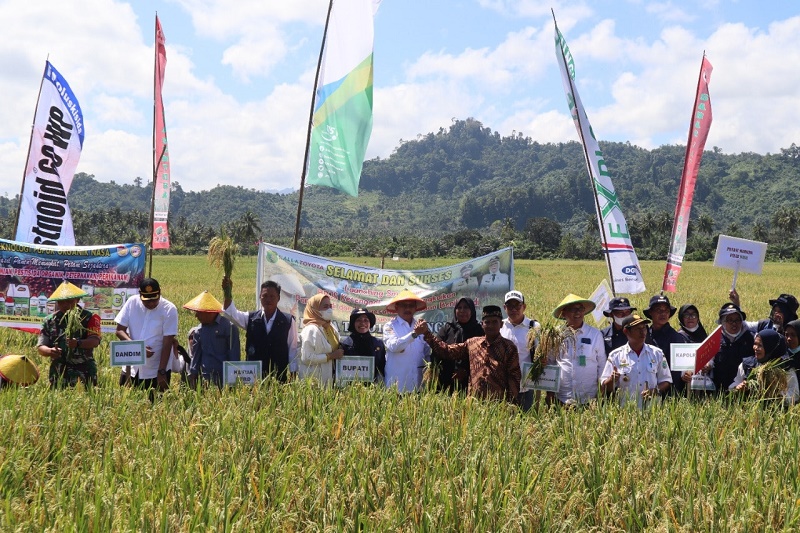 Kini ada Program Smart Tani di Pasangkayu, Untuk Perlindungan bagi Para Petani